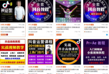 关于启盈社软件vip栏目的说明